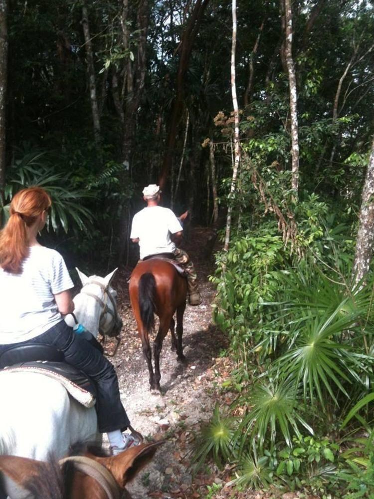 Mystic River Resort San Ignacio Luaran gambar